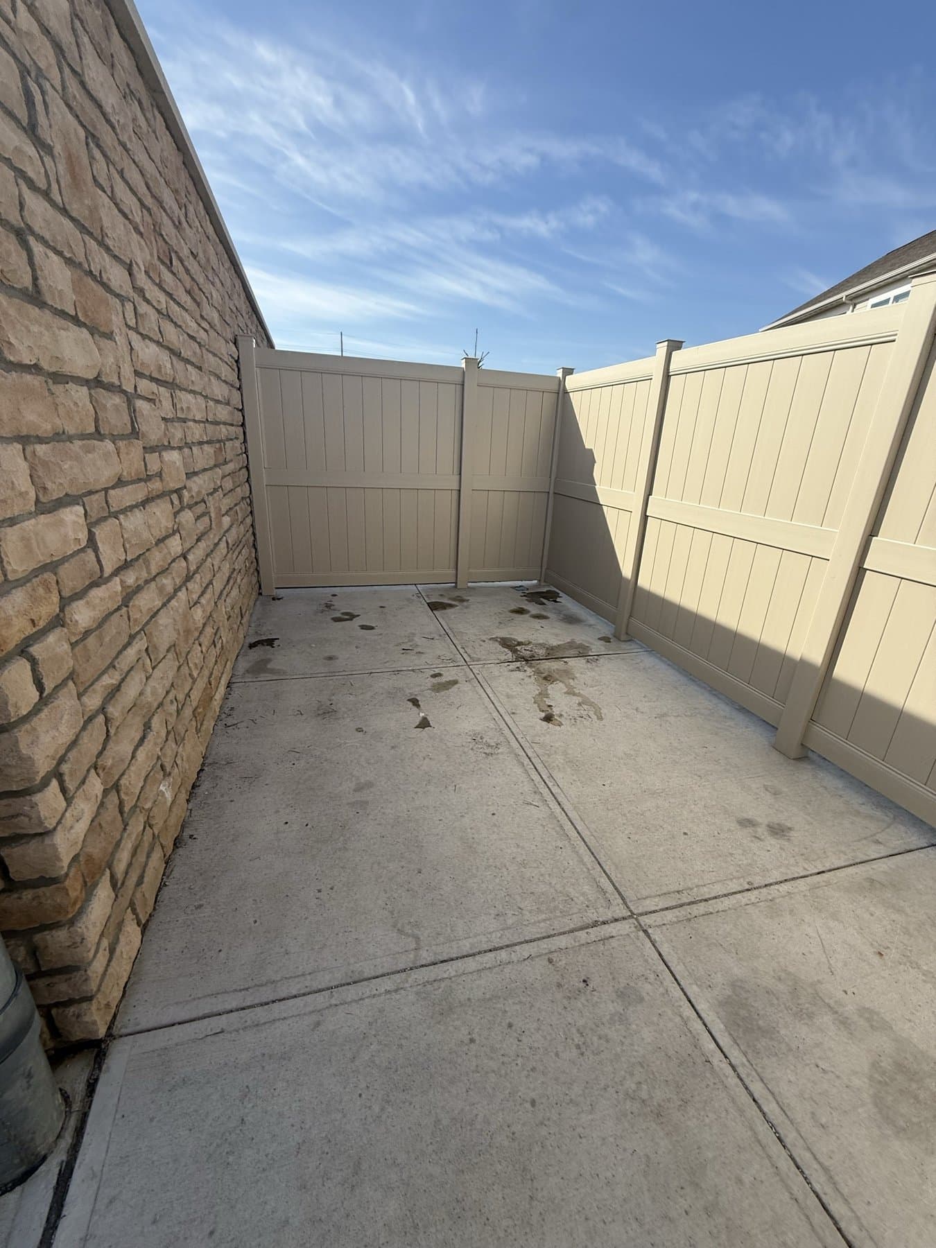 The same side yard with the trash and cardboard removed